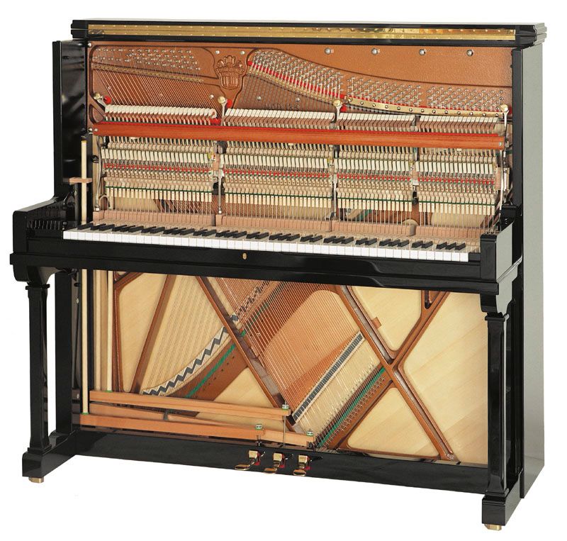 Steingraeber & Söhne 122T / piano