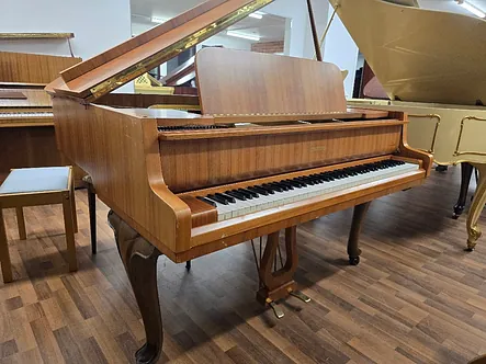 Schimmel 150N