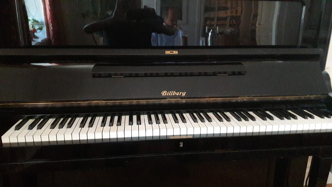 Billberg 129 / piano S