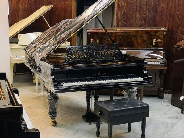 Bechstein,C , Mod III, C-234/Nyskick