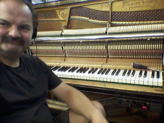 Grotrian Steinweg 120, SilentPiano Korg