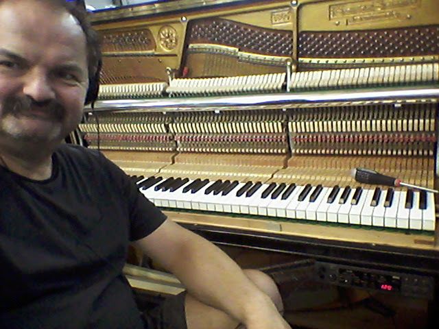 Grotrian Steinweg 120, SilentPiano Korg