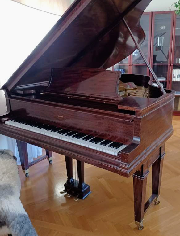 Steinway & Sons O-200, player grand