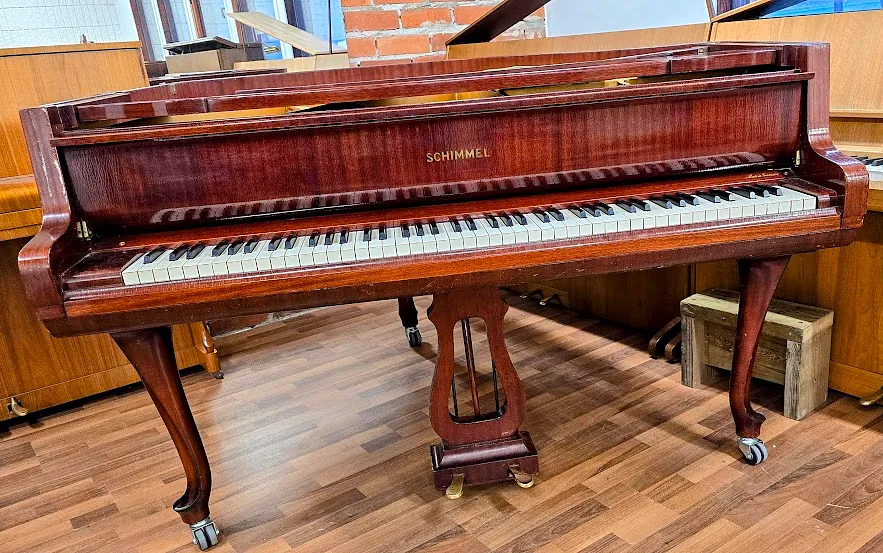 Schimmel 150