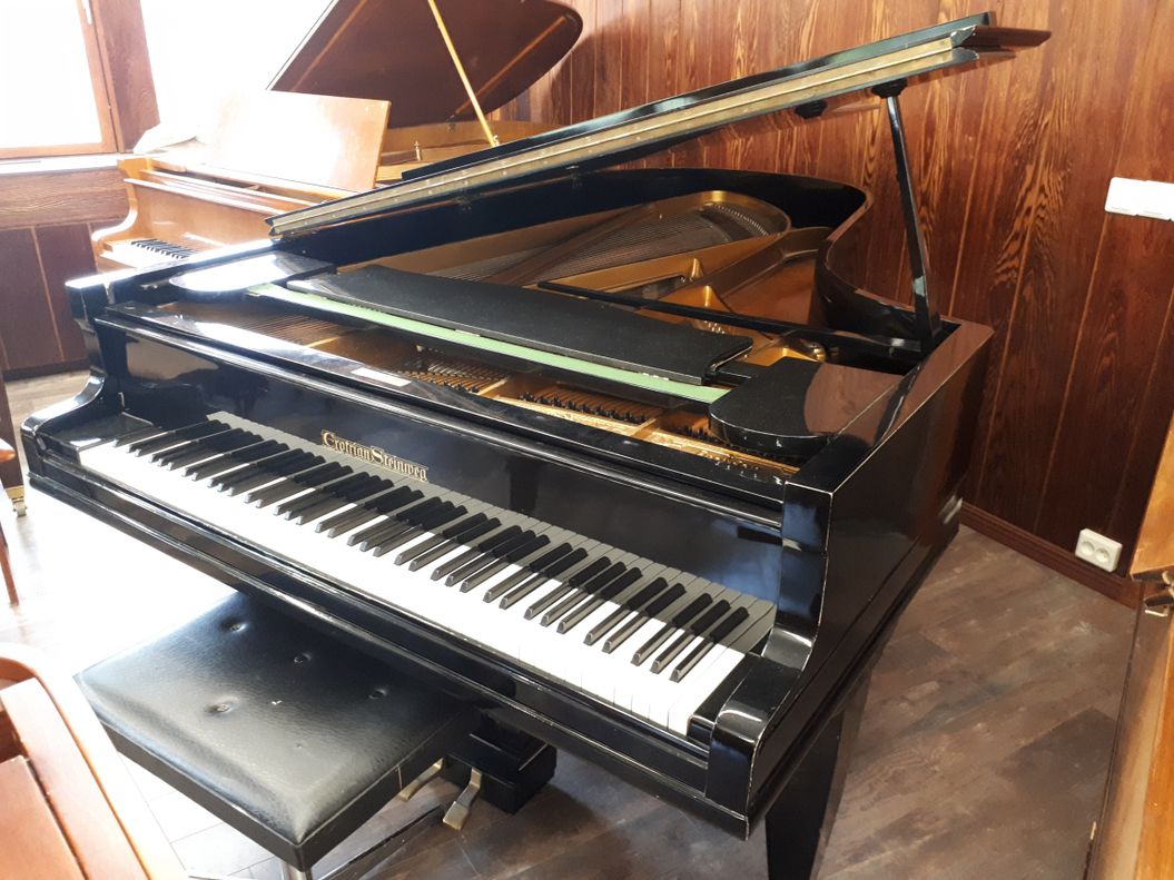 Grotrian Steinweg 220 / flygel, Nyskick, S